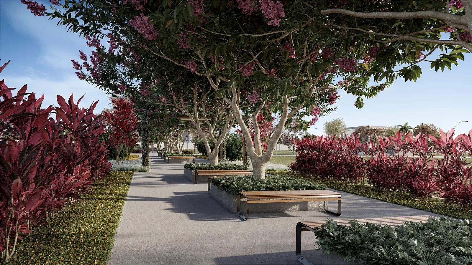 Alameda arborizada com bancos de madeira